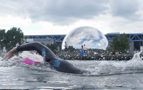 Open Swim Stars Harmonie Mutuelle Paris 2020