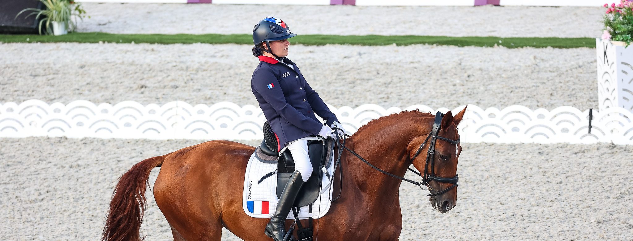 Résumé des Jeux paralympiques et notamment de l'équitation