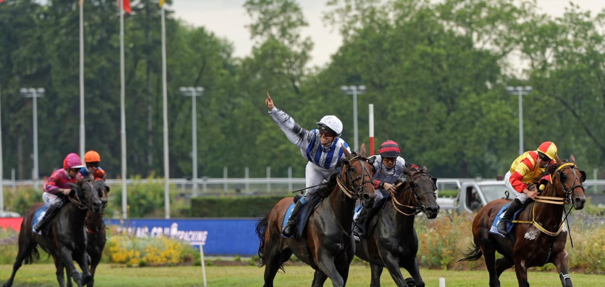 Hippisme : Camille Levesque, l’héritière aux multiples titres