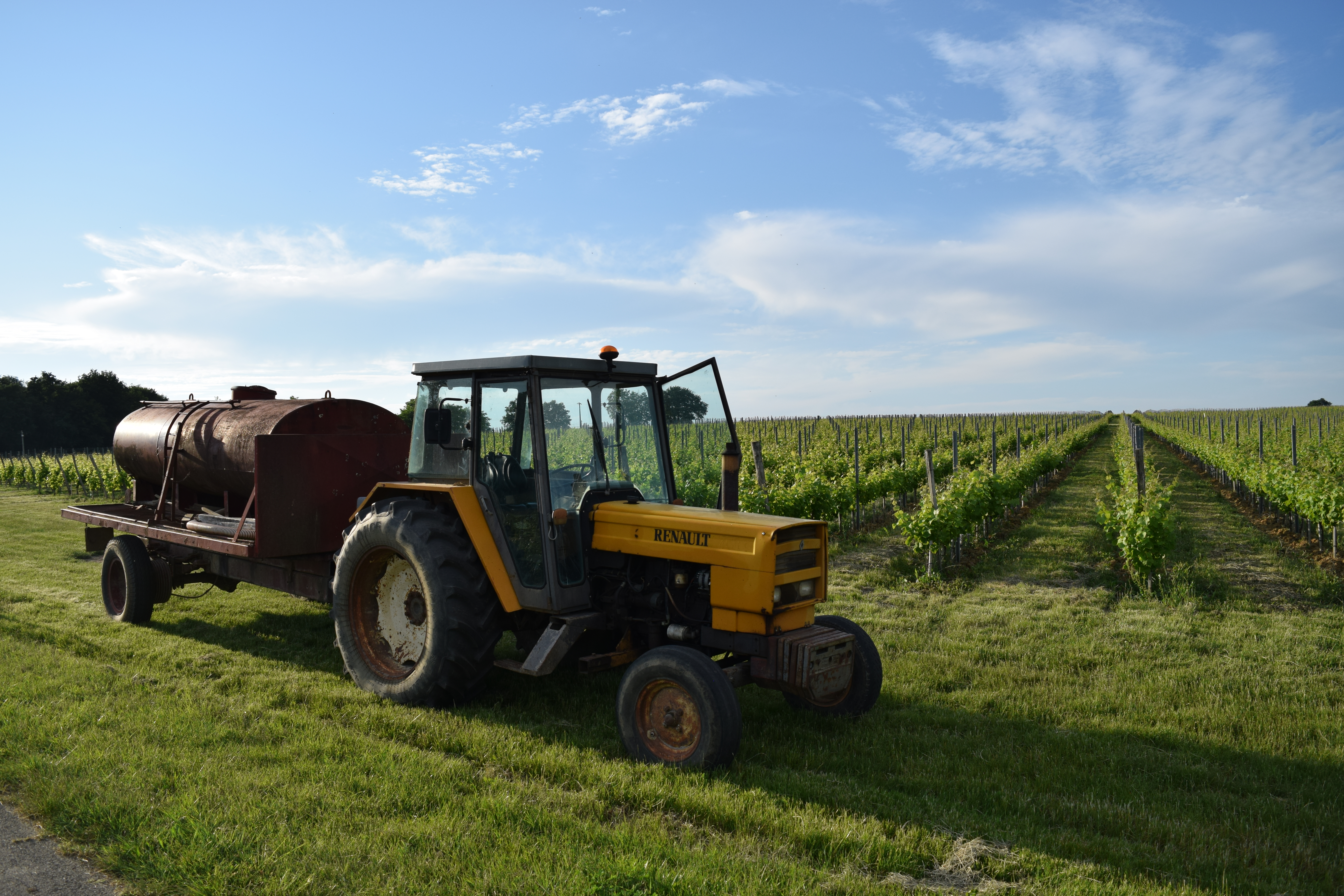 Au coeur des vignes @Johan Beausergent